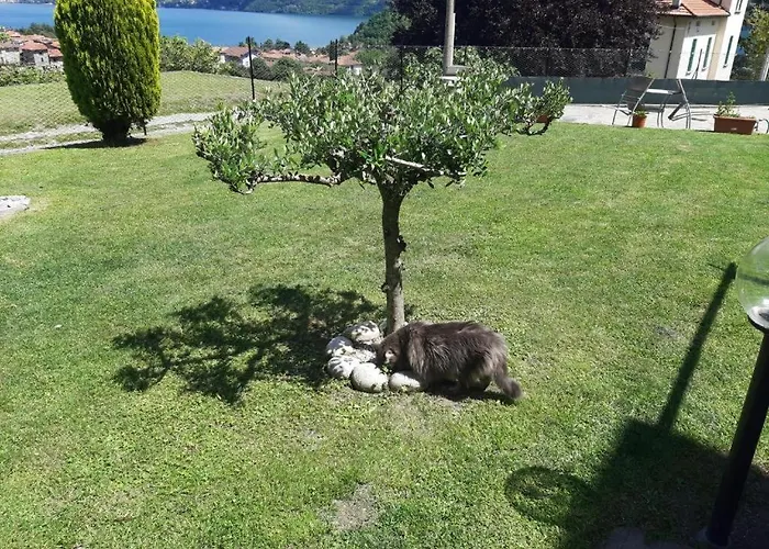 Bed & Breakfast Garzola